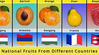 National Fruit Of Different Countries