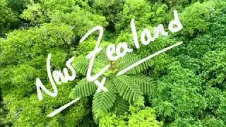 New Zealand North Island - wild nature