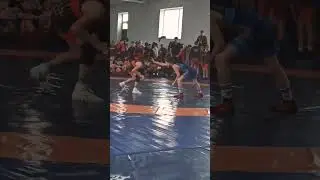 Вольная борьба