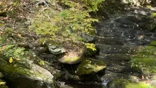 Crypto to Cascading Brook