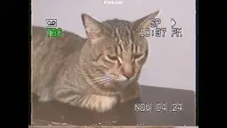 VHS-5