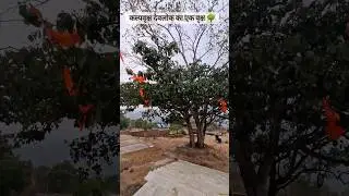 Chattisgrarh Part :- 3 || Manendargarh Shiv ji || Food Tech Govind