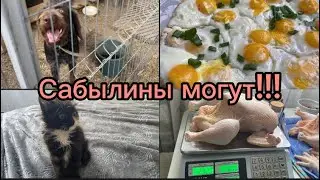 865❤️Юг. Дали мы жару