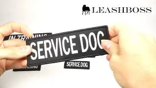 Service Dog Patches - Emotional Support, In Training, SD Patches for Vests & Jackets