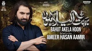Noha 2024 | Bohot Akela Hun | Ameer Hasan Aamir Nohay 2024 | Shahadat Mola Abbas Noha 2024