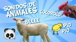 ♫ Nombre y Sonido de los animales ♫ Vídeo Educativo para Niños | Muy divertido para aprender