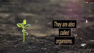 Living things and non-living things