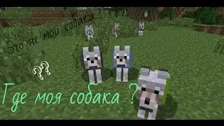 Прохождение карты - Где моя собака Дези ??? Херобрин я тебя найду !!!!