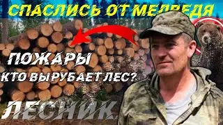 No one expected this! Forester - attacked by a bear?! |life in the taiga|hermits|Agafya Lykova|taiga