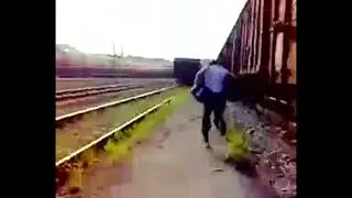 чайка и сало