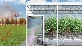 Заказать видеоролик. AnimaLab.ru
