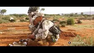LNA(Libyan National Army) 2019