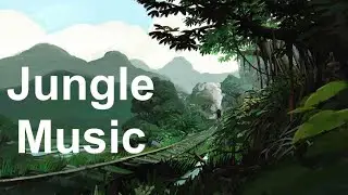 Jungle Music and Jungle Theme Music: TWO Hours of the Best Jungle Drums Music Video