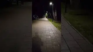 Вечерний вайб парка