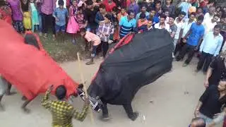 Olaver car festival