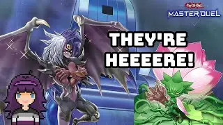 Let's Talk About Yubel - THE NEWEST META DECK IN MASTER DUEL!