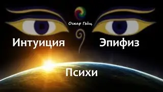 ИНТУИЦИЯ👍ШИШКОВИДНАЯ ЖЕЛЕЗА👍ЭПИФИЗ😜ПСИХИ😁ОСКАР ГЕЙЦ👍 Как устроена шишковидная железа