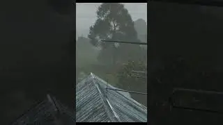 Yea it Was Chaos - DayZ 