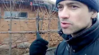 Технология глиночурка и колодное пчеловодство