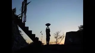 Exploring a forest in Turku - Looping Every Week 