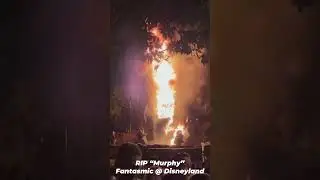 The Fantasmic! Fire at Disneyland