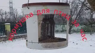 Кормушка для птиц за час !!!