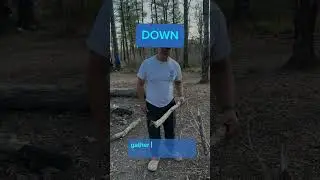 Campfires and collecting firewood