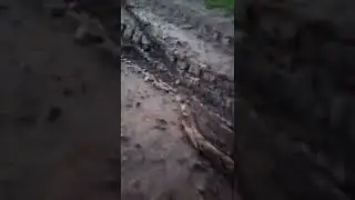непридвиденая ситуация