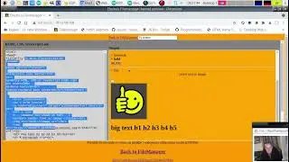 ESP8266 RandomNerd WifiManager mDNS Scan DHCP Fixed IP