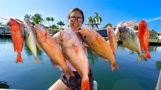 We Caught EVERY SPECIES! NONSTOP Action! Catch, Clean & Cook! Boca Raton, Florida Fishing