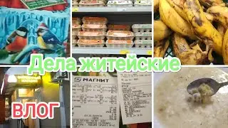 Влог🌞ДЕЛА ЖИТЕЙСКИЕ 🤗А ФИКС ПРАЙС? А до него сегодня не дошла... ну может завтра...