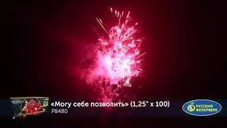 P8480 Могу себе позволить