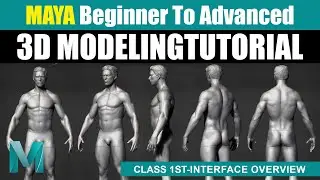 Interface Overview Maya Tutorial | Class 1 | 3d Modeling In Maya