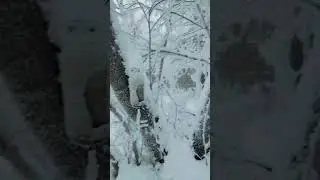 доброе утро ❄️❄️🤗☕🙏