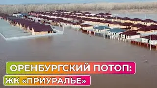 Приуралье в зоне затопления
