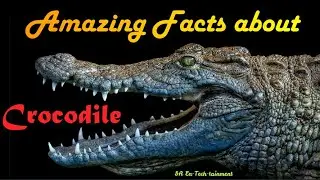 Amazing facts about Crocodile || You Don't know about ||
