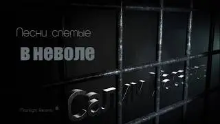 Adobe After Effects & Element 3d