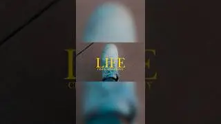 Life Cinematography PART 1🛤️  #film #cinematography #comedy #cinematic #friends #funny #canon