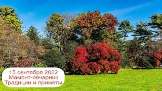 15 сентября 2022  Мамонт-овчарник.  Традиции и приметы.