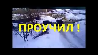Проучил