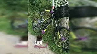 Bikeporn 💜amanda💜 haibike xduro downhill bike ebike mtb porn Fahrrad