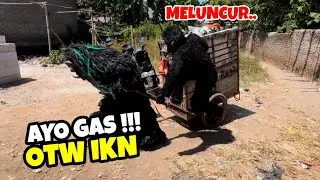 KAMERAMEN KETEMPELAN GRANDONG GAK ADA YANG BERANI MENDEKAT❗️❗️MEDAL PUSAKA LEMBUR KURING