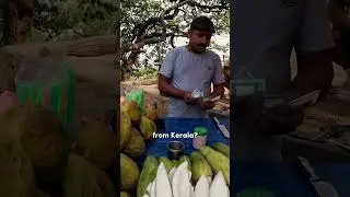 $2 Kerala Coconut in Nepal 🇳🇵 #travel #nepal #foodie #streetfood #solotravel
