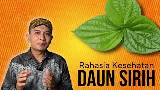 Rahasia Kesehatan DAUN SIRIH