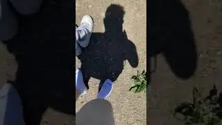 Lose your shoes - Part 3