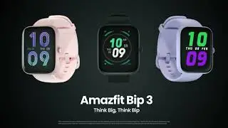 Amazfit Bip 3 Smart Watch