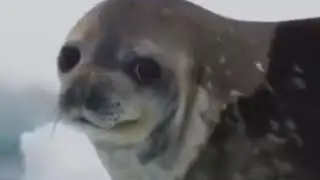 Dank Offensive Memes Compilation 