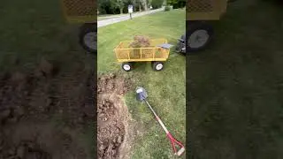 Planting a Tree in Clay, The Right Way! 