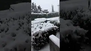 Vancouver BC in the grip of Snow