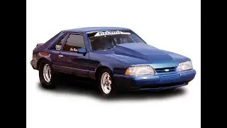 Forza Stream
